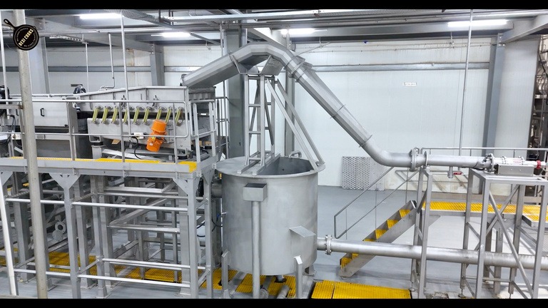 WhatsApp Image 2026 01 13 at 18.02.40